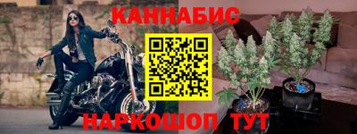 индика Комсомольск-на-Амуре