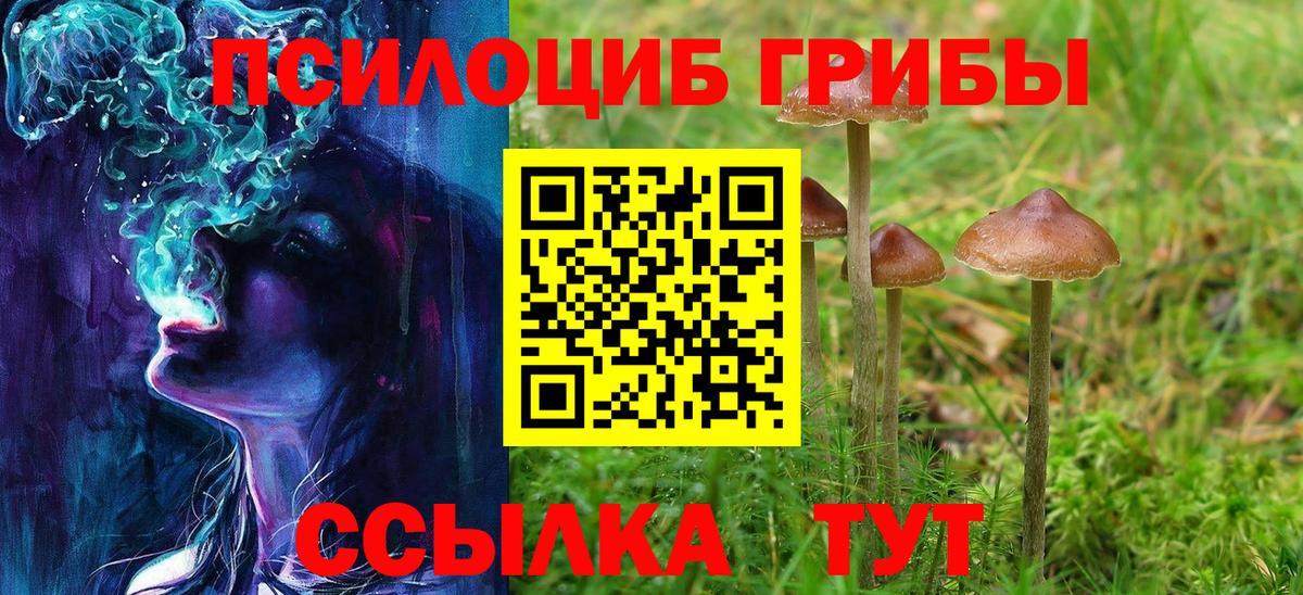 Псилоцибиновые грибы Cubensis  Вход с VPN  Новосибирск 